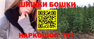 МДПВ Пушкино